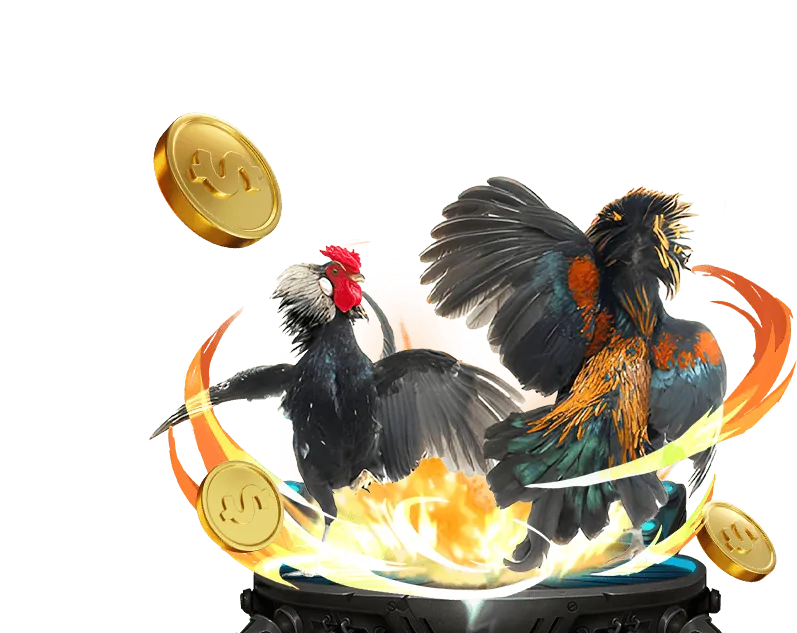 Minh họa các loại cookie và cách chúng hoạt động